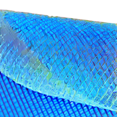 Debris Safety Netting SBN-427 Blue Premium